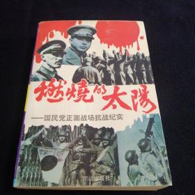 燃烧的太阳～国民党正面战场抗战纪实.
