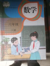 2022版小学六年级下册数学