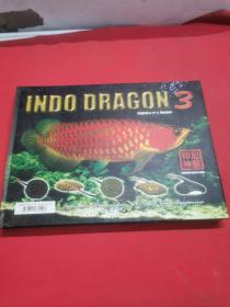 印尼神龙 3：INDO DRAGON (画册)