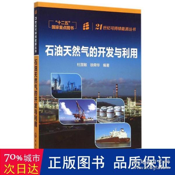 21世纪可持续能源丛书：石油天然气的开发与利用