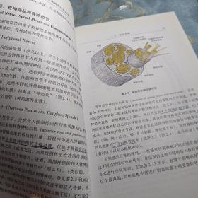 Duus神经系统疾病定位诊断学 如图现货速发