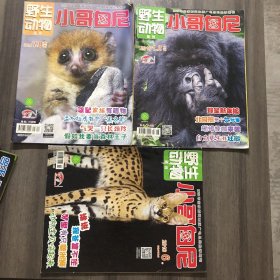 野生动物 小哥白尼2016年第一二合刊、2016第七八合刊、2016年6月份下册   三册合售