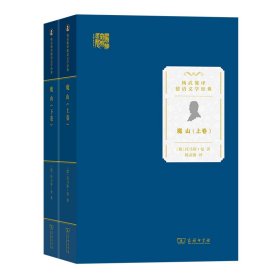 魔山(杨武能译德语文学经典)