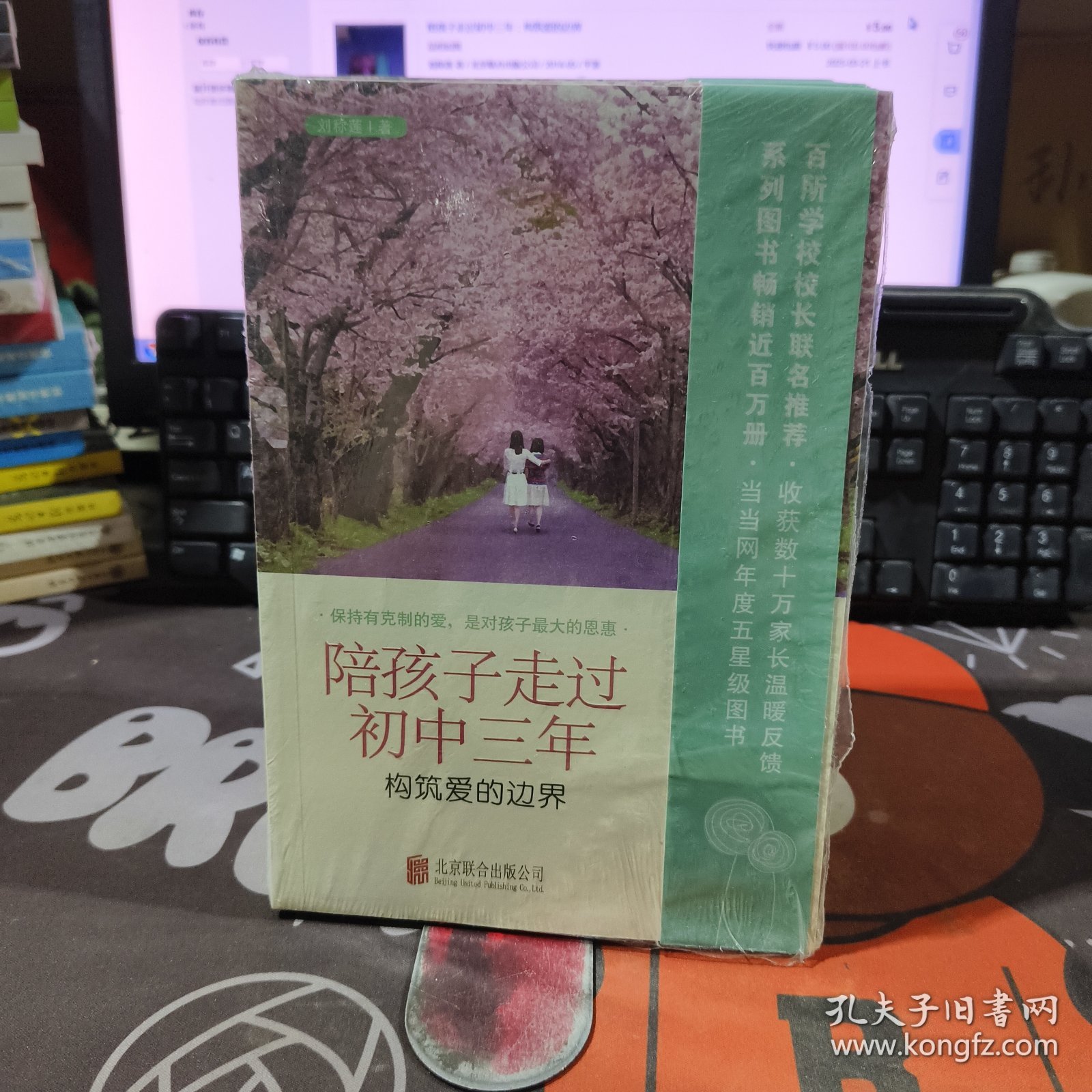 陪孩子走过初中三年：构筑爱的边界（原塑封）