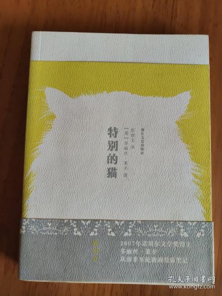 特别的猫