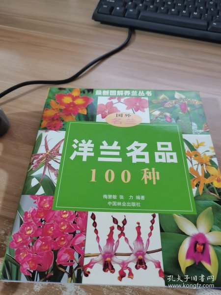 洋兰名品100种