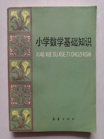 小学数学基础知识 新蕾出版社 私藏自然旧品如图