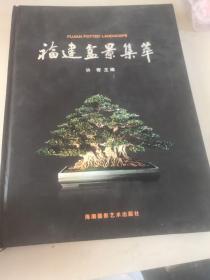 福建盆景集萃