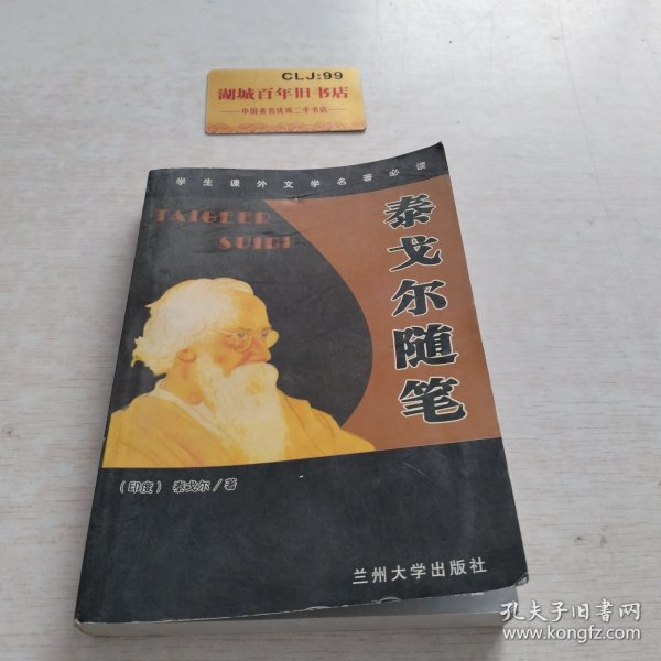 甘地——布老虎传记文库·巨人百传丛书：政治家卷