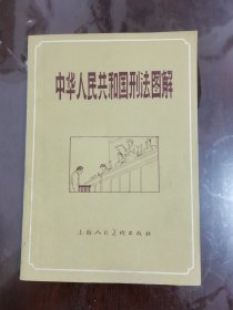 中华人民共和国刑法图解[32开]