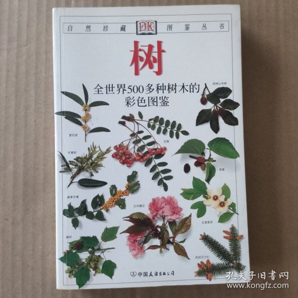 树：全世界500多种树木的彩色图鉴