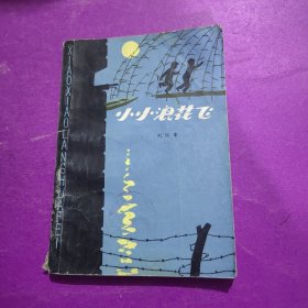 小小浪花飞