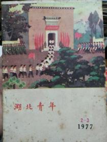 湖北青年1977年2、3