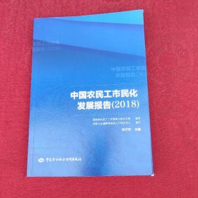 中国农民工市民化发展报告（2018）