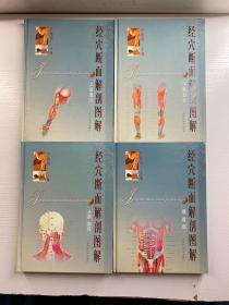 经穴断面解剖图解 全四册 上肢部分、下肢部分、头颈胸部、腹盆部（精装彩图、内页干净）