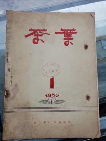 《茶叶》1957年创刊号