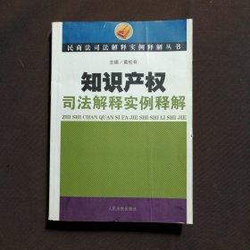 知识产权司法解释实例释解