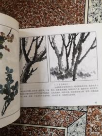 中国画技法普及教材·学国画：月季花表现技法