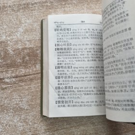 汉语成语词典续篇