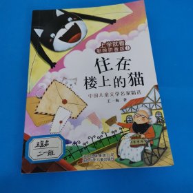 住在楼上的猫