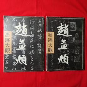 墨迹大观赵孟頫（上下册全）95年一版一印