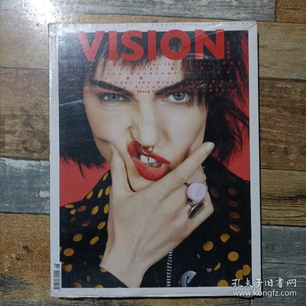 vision 青年视觉 2013.8