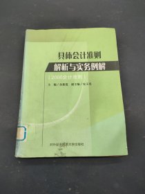 具体会计准则解析与实务例解:2006会计准则