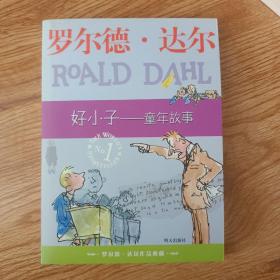 好小子-童年故事：罗尔德·达尔作品典藏