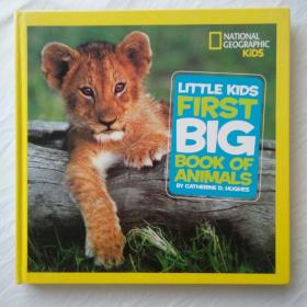 First Big Book of Animals 英文原版