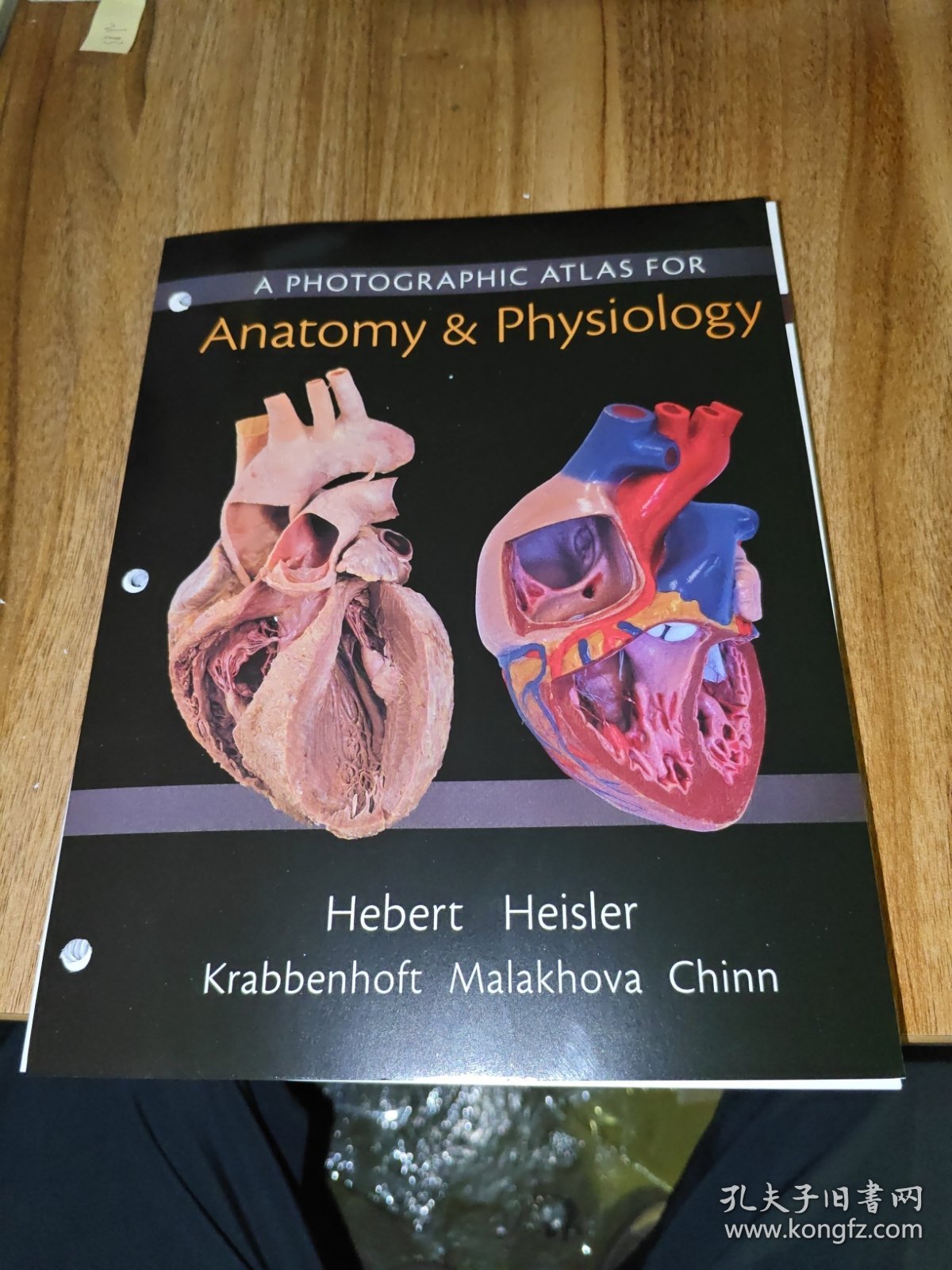 a photographic atlas for anatomy&physiology（解剖学和生理学的摄影图集）