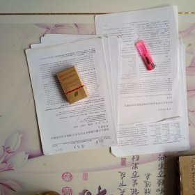 内蒙古正镶白旗地区早古生代O型埃达克岩的厘定及其意义。有手写笔记， （崔灿稿1）二稿等。以图为准。共十多页。