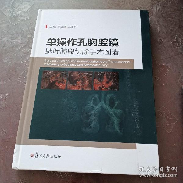 单操作孔胸腔镜肺叶肺段切除手术图谱