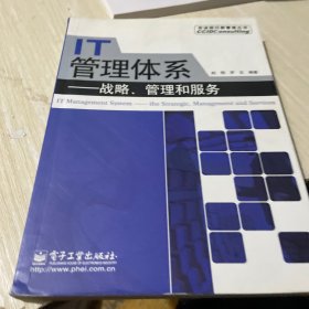 IT管理体系：战略、管理和服务