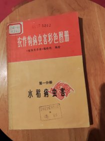 农作物病虫害彩色图册 第一分册 水稻病虫害