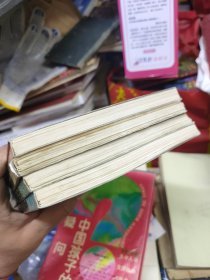 中国孩子的疑问:天文气象篇、中国民俗篇、人体奥秘篇、动物植物篇（4本合售）