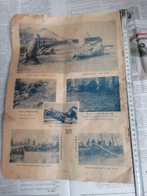 民国大型上海抗战画报，第5页到28页
