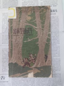 密林里的战斗（经典插图本）