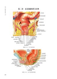 全新正版 现代中医肛肠病学(精) 安阿玥 9787521412956 中国医药科技出版社