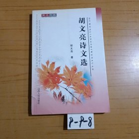 胡文亮詩(shī)文選