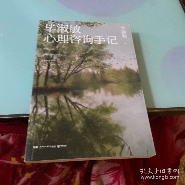 毕淑敏心理咨询手记（知名心理咨询师毕淑敏代表作，31个震撼人心的心理咨询案例）