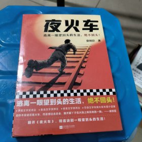 夜火车（逃离一眼望到头的生活，绝不回头！茅盾文学奖得主徐则臣长篇小说力作）