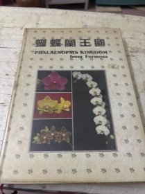 蝴蝶兰王国（中文版）