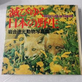 日本原版现货  岩合德光动物写真集