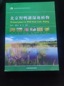 北京野鸭湖湿地植物