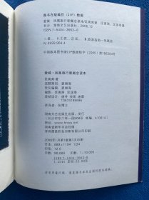 爱城 凤凰旅行新概念