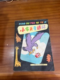 小布头奇遇记