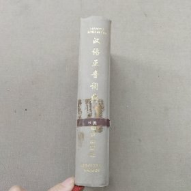 汉语正音辞典