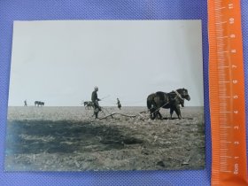 03559 克山 农试 农耕 照片 民国 时期 老照片