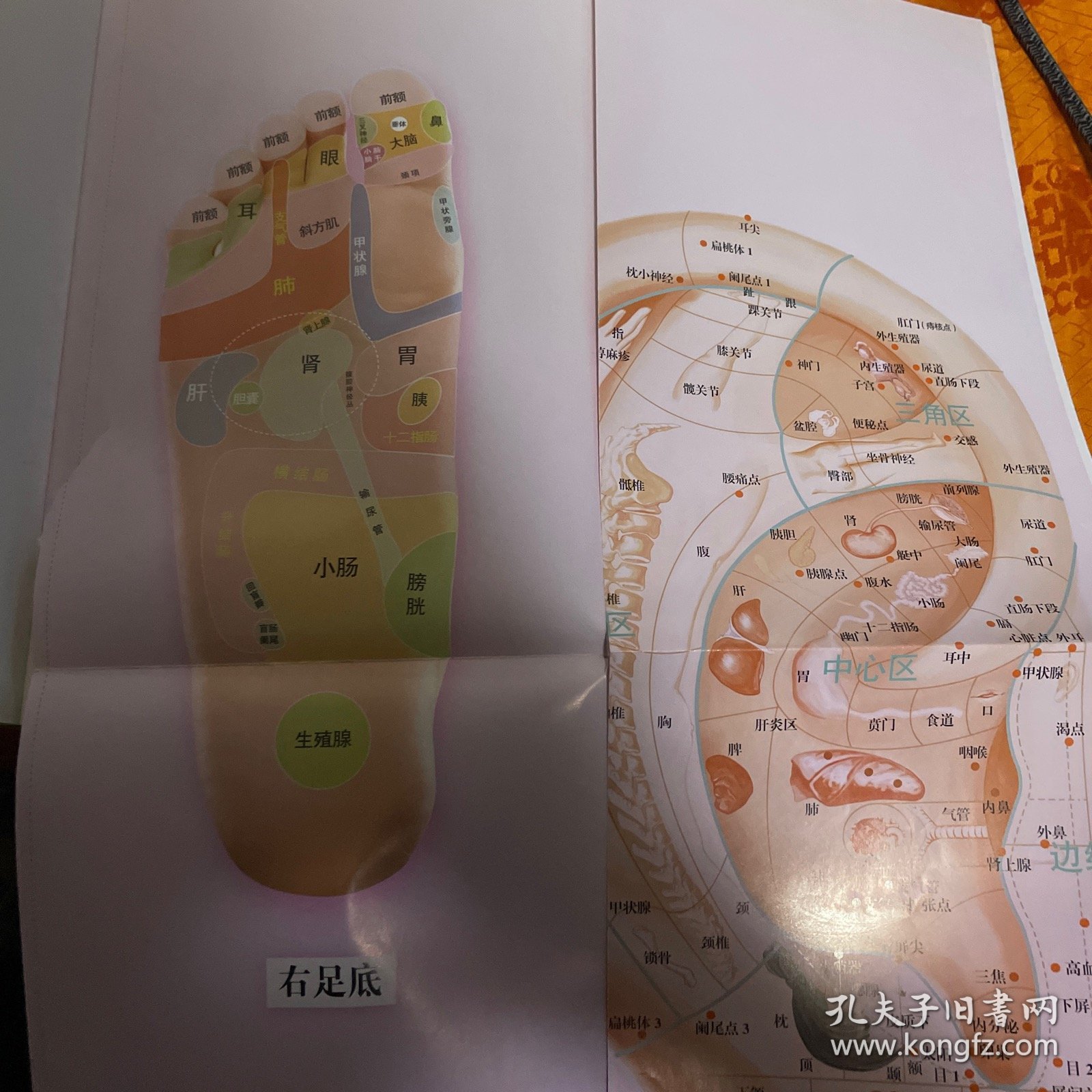 手到病自除1：自然反射疗法特效使用手册（典藏版）手到病自除2：人体反射区简明自疗方案（典藏版）