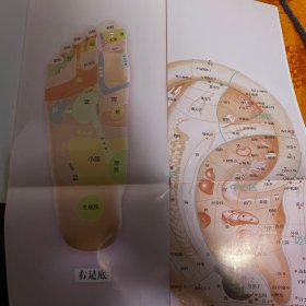 手到病自除1：自然反射疗法特效使用手册（典藏版）手到病自除2：人体反射区简明自疗方案（典藏版）